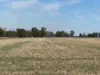 Lot 2 Koondrook-Murrabit Road,, Koondrook, Vic 3580-Image