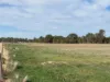 Lot 2 Koondrook-Murrabit Road,, Koondrook, Vic 3580-Image