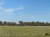 Lot 2 Koondrook-Murrabit Road,, Koondrook, Vic 3580-Image