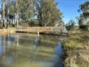 Lot 2 Koondrook-Murrabit Road,, Koondrook, Vic 3580-Image