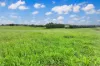 Lot 2 Lake Barrine Road, Lake Eacham, Qld 4884-Image