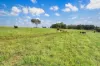 Lot 2 Lake Barrine Road, Lake Eacham, Qld 4884-Image