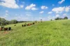 Lot 2 Lake Barrine Road, Lake Eacham, Qld 4884-Image