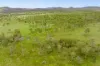 Lot 2 Spencer Road, Kilkivan, Qld 4600-Image
