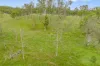 Lot 2 Spencer Road, Kilkivan, Qld 4600-Image