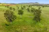 Lot 2 Spencer Road, Kilkivan, Qld 4600-Image