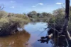Lot 21 SOUTH COAST Road, Seddon, SA 5223-Image