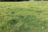 Lot 21 SOUTH COAST Road, Seddon, SA 5223-Image