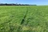 Lot 21 SOUTH COAST Road, Seddon, SA 5223-Image