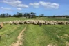 Lot 21 SOUTH COAST Road, Seddon, SA 5223-Image
