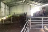 Lot 21 SOUTH COAST Road, Seddon, SA 5223-Image