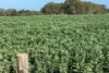 Lot 21 SOUTH COAST Road, Seddon, SA 5223-Image