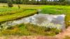 LOT 21 STATION ROAD, Doolbi, Qld 4660-Image