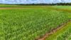 LOT 21 STATION ROAD, Doolbi, Qld 4660-Image