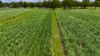 LOT 21 STATION ROAD, Doolbi, Qld 4660-Image