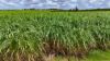 LOT 21 STATION ROAD, Doolbi, Qld 4660-Image