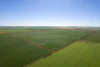 Lot 22  Pfitzner Road, Butler, SA 5605-Image