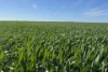 Lot 22  Pfitzner Road, Butler, SA 5605-Image