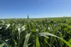 Lot 22  Pfitzner Road, Butler, SA 5605-Image