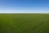 Lot 22  Pfitzner Road, Butler, SA 5605-Image