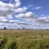 LOT 220A & 220B Tinsley Road, Wal Wal, Vic 3385-Image