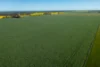 LOT 220A & 220B Tinsley Road, Wal Wal, Vic 3385-Image