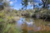 Lot 2223 Treeton Road, Treeton, WA 6284-Image