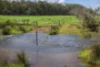 Lot 2223 Treeton Road, Treeton, WA 6284-Image