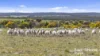 Lot 259 Harvey Road, Hartley, SA 5255-Image