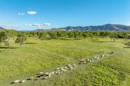 Lot 264 Abel Road, Lower Wonga, Qld 4570