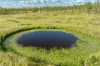 Lot 264 Abel Road, Lower Wonga, Qld 4570-Image