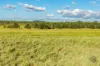 Lot 264 Abel Road, Lower Wonga, Qld 4570-Image