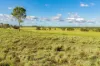 Lot 264 Abel Road, Lower Wonga, Qld 4570-Image