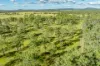 Lot 264 Abel Road, Lower Wonga, Qld 4570-Image