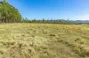 Lot 264 Abel Road, Lower Wonga, Qld 4570-Image