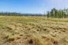 Lot 264 Abel Road, Lower Wonga, Qld 4570-Image