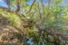 Lot 264 Abel Road, Lower Wonga, Qld 4570-Image