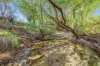 Lot 264 Abel Road, Lower Wonga, Qld 4570-Image