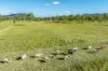 Lot 264 Abel Road, Lower Wonga, Qld 4570-Image