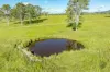 Lot 264 Abel Road, Lower Wonga, Qld 4570-Image