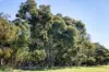 Lot 3 and 4 Old Caves Road, Naracoorte, SA 5271-Image