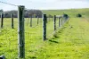 Lot 3 and 4 Old Caves Road, Naracoorte, SA 5271-Image