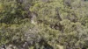 Lot 31 Redgate Road, New Italy, NSW 2472-Image
