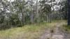 Lot 31 Redgate Road, New Italy, NSW 2472-Image