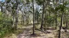 Lot 31 Redgate Road, New Italy, NSW 2472-Image