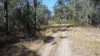 Lot 31 Redgate Road, New Italy, NSW 2472-Image