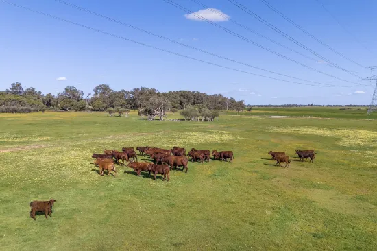 Lot 3119 Brand Highway, Gingin, WA 6503