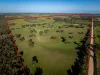Lot 367 Beaumaris Road, Keppoch, SA 5271-Image