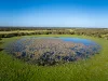 Lot 367 Beaumaris Road, Keppoch, SA 5271-Image