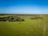 Lot 367 Beaumaris Road, Keppoch, SA 5271-Image